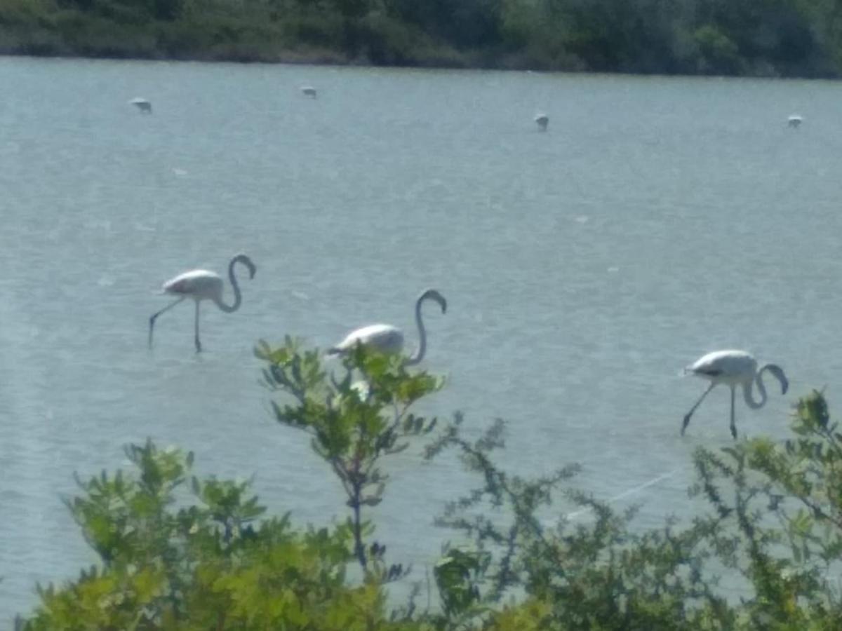 Casale Hibiscus Villa Santa Maria Del Focallo Kültér fotó