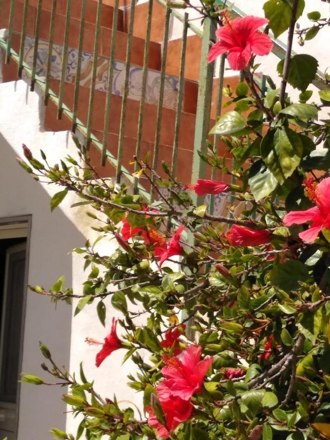 Casale Hibiscus Villa Santa Maria Del Focallo Kültér fotó